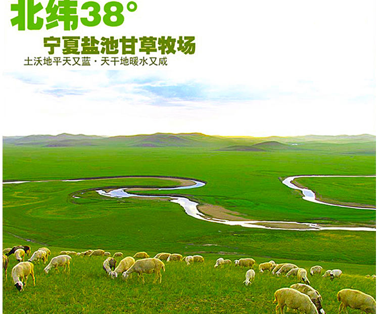 国宴食材 宁夏盐池原生态滩羊肉 绵羊后腿 2.5kg 顺丰包邮