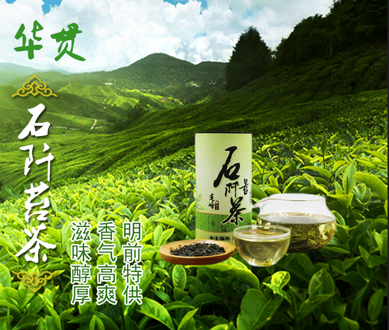 贵州石阡苔茶 绿茶 华贯石阡苔茶毛峰250g 绿茶茶叶 无公害绿茶