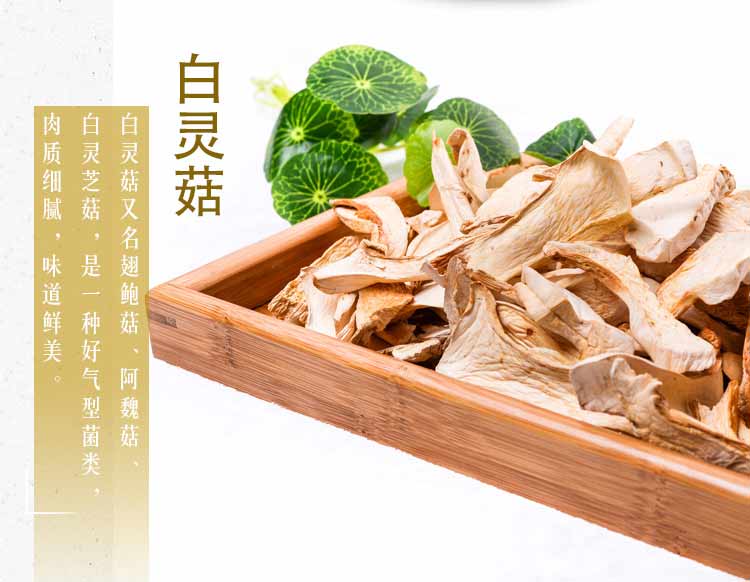 云南特产上品野生白灵菇 农家干货 500g