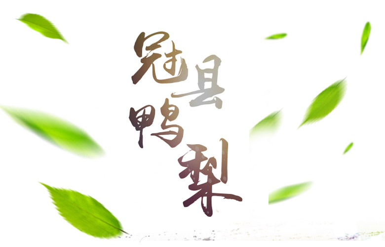 地理标志产品—山东特产冠县鸭梨 5斤包邮