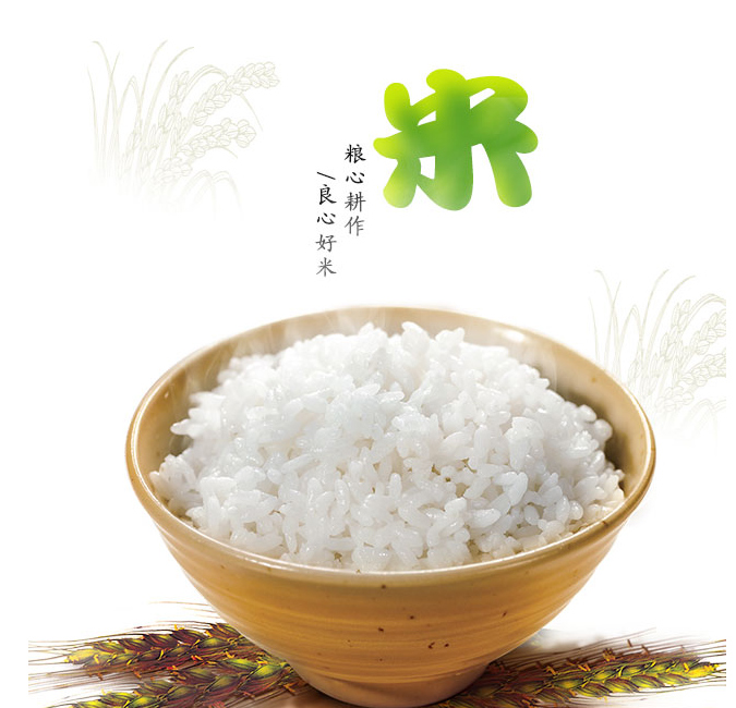 东北稻花香大米5kg|农产品|地方特产|烟台土特产批发|吉民生商城 - 吉