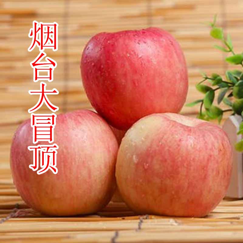 地理標誌產品—大冒頂紅富士蘋果 10斤裝 80#【脆甜口味】